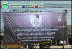 ปวงข้าพระพุทธเจ้า ขอน้อมเกล้าน้อมกระหม่อมสำนึกในพระมหากรุณาธ