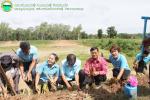 ภาพกิจกรรมโครงการส่งเสริมรณรงค์การปลูกหญ้าแฝกตามพระราชดำริ ป